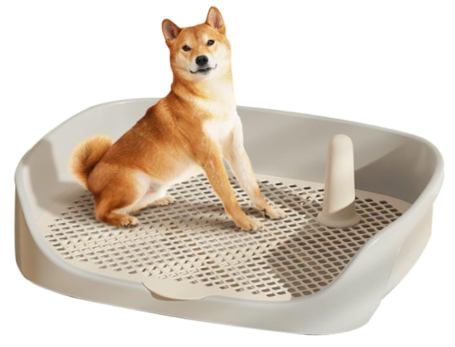 フレブル お迎え準備